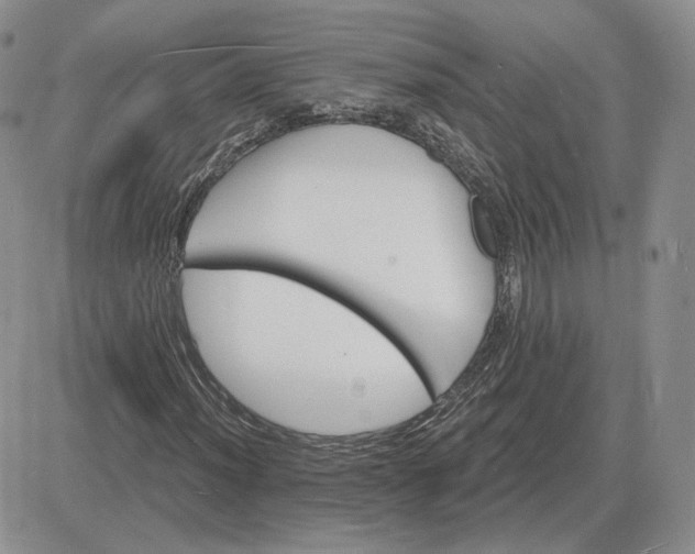 X0000081481012200701262022