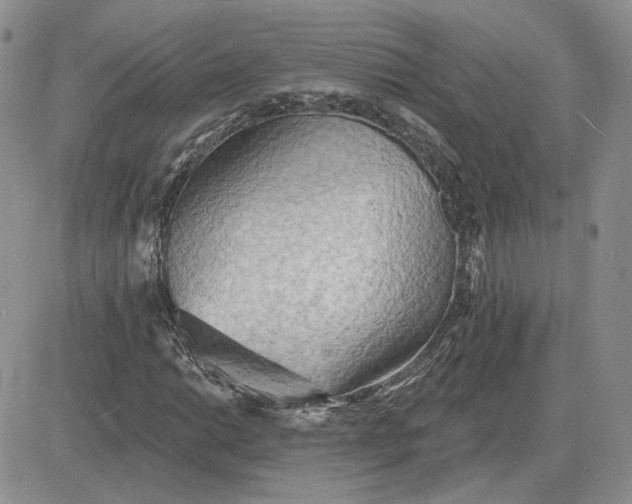 X0000081481014200701262022