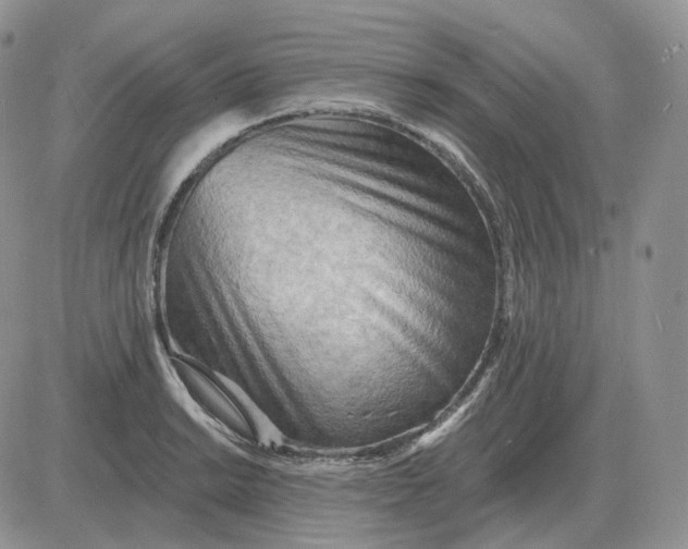 X0000081481038200701262023