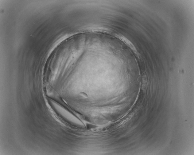 X0000081481039200701262023