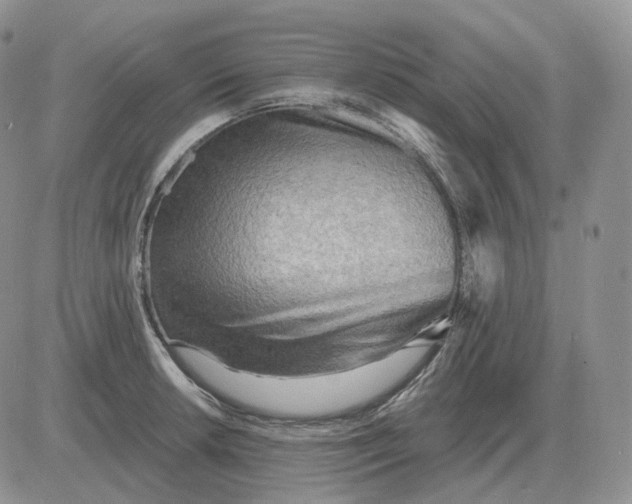 X0000081481042200701262023
