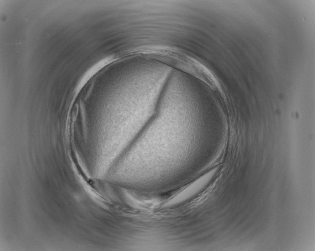X0000081481050200701262023