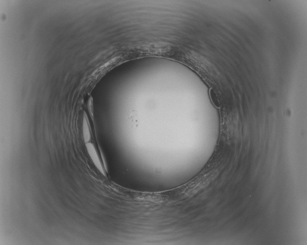 X0000081481058200701262022