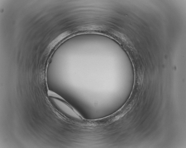 X0000081481073200701262022