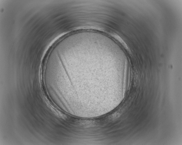 X0000081481076200701262022
