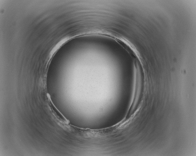 X0000081481097200701262022