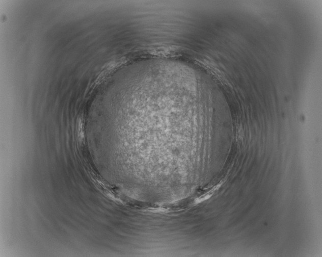 X0000081481106200701262021