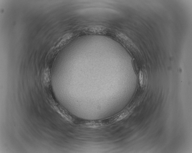 X0000081481107200701262021