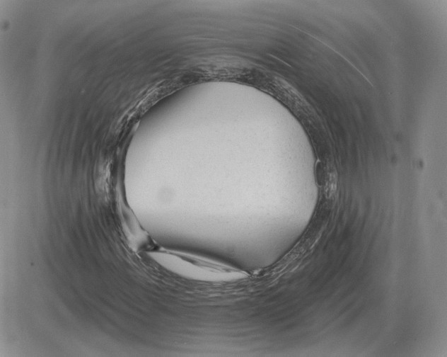 X0000081481108200701262021