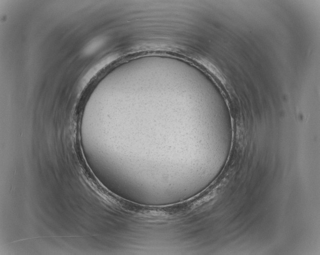 X0000081481119200701262021