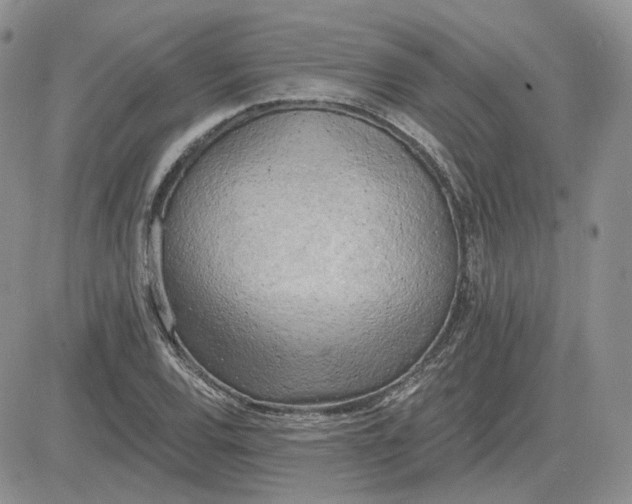 X0000081481120200701262021