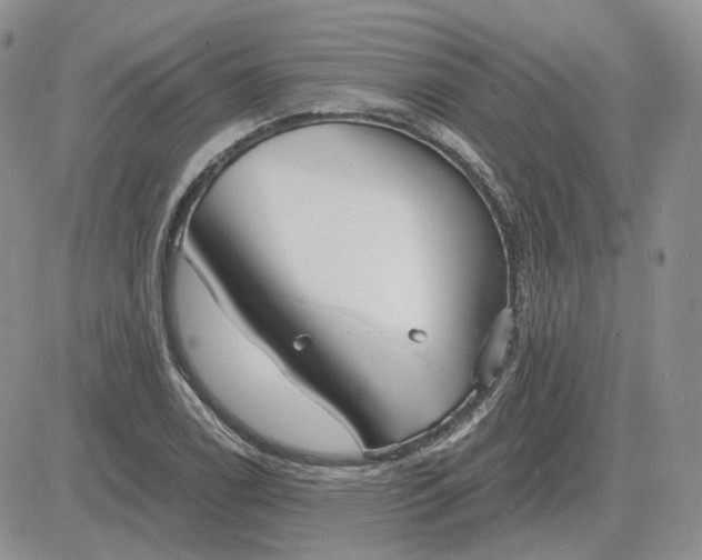 X0000081481122200701262021