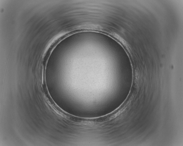 X0000081481123200701262021