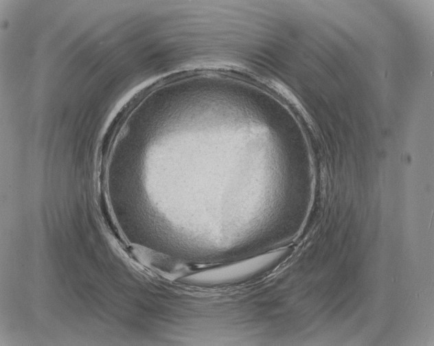 X0000081481124200701262021