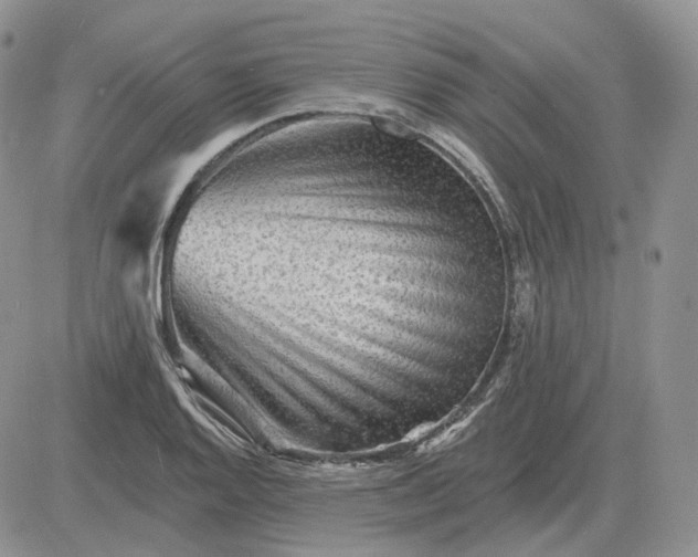 X0000081481128200701262021