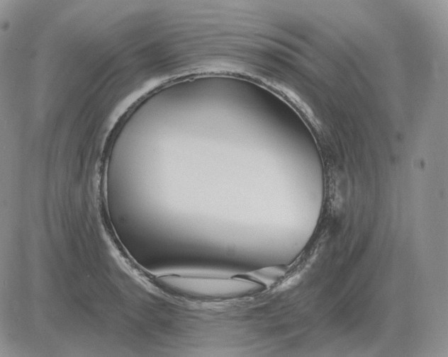 X0000081481134200701262021