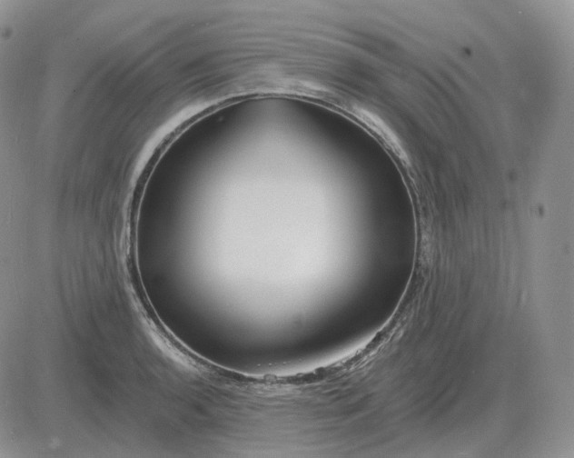 X0000081481136200701262021
