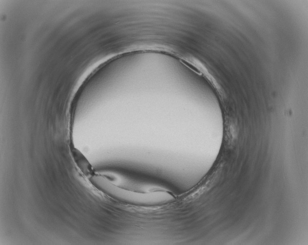 X0000081481140200701262021