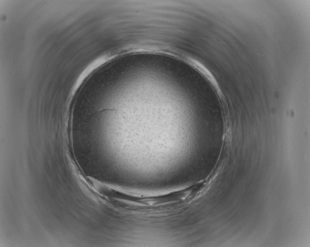 X0000081481146200701262021