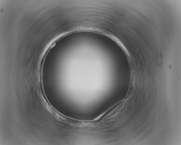 X0000081481148200701262022