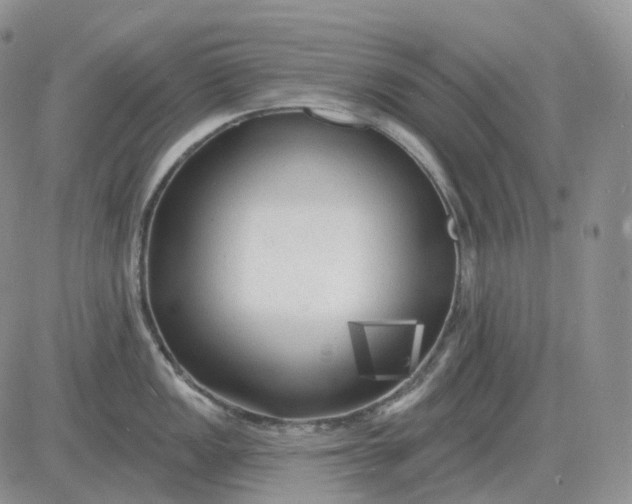 X0000081481149200701262022