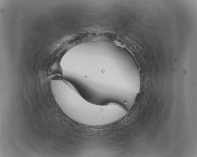 X0000081481157200701262021