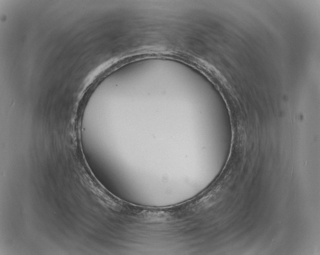 X0000081481168200701262021