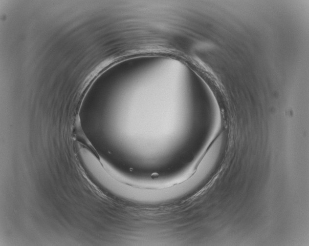 X0000081481177200701262020