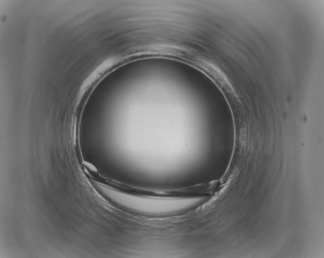 X0000081481180200701262020