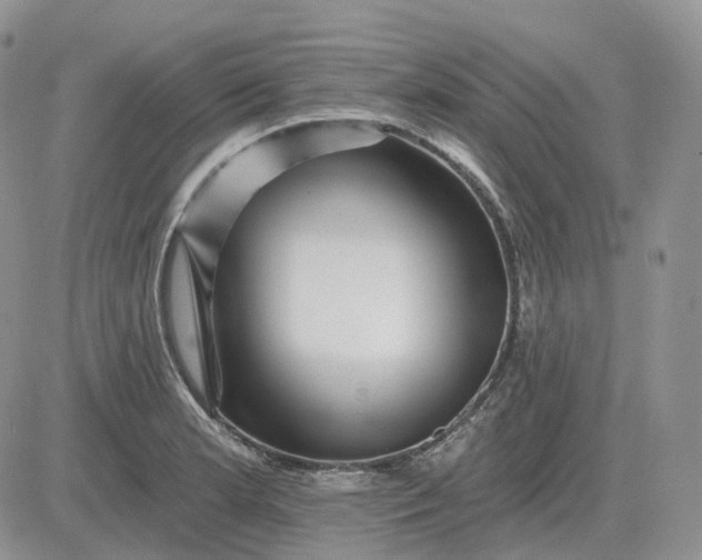 X0000081481181200701262020