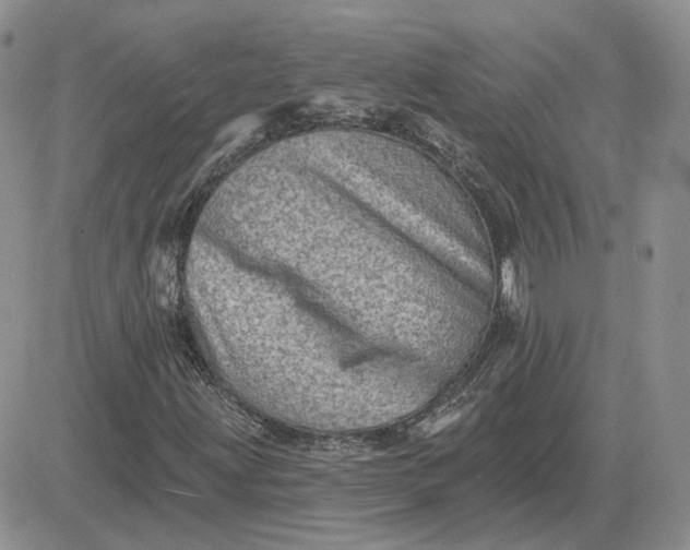 X0000081481203200701262019