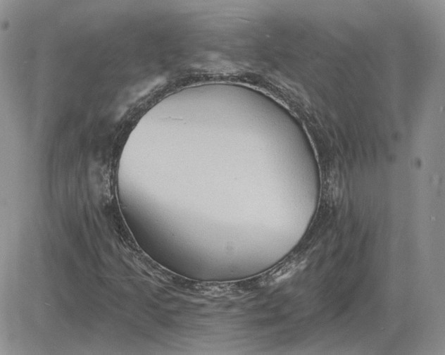 X0000081481205200701262019