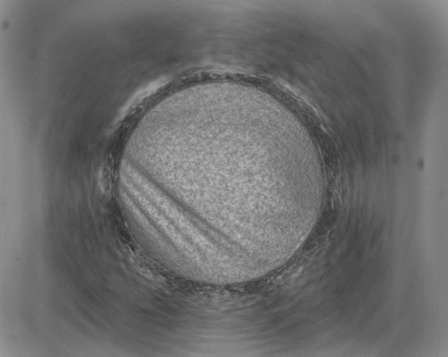 X0000081481207200701262019