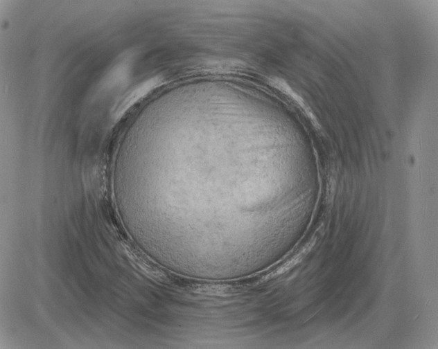 X0000081481211200701262019