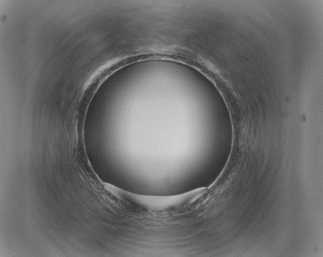 X0000081481214200701262019