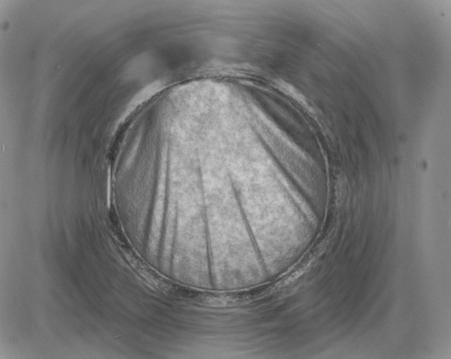 X0000081481219200701262020