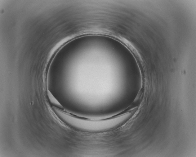X0000081481238200701262020