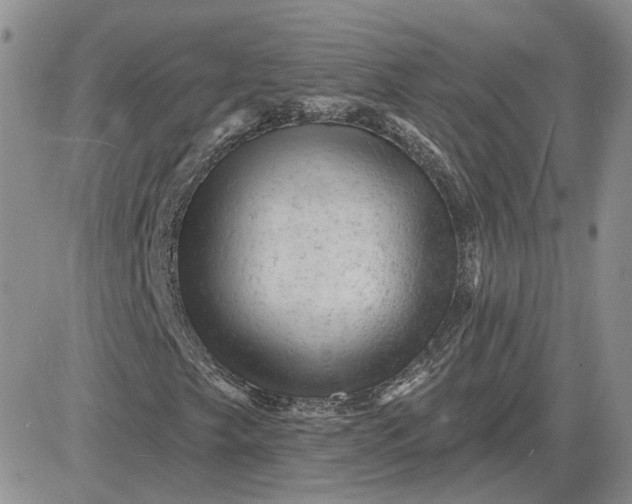 X0000081481249200701262019