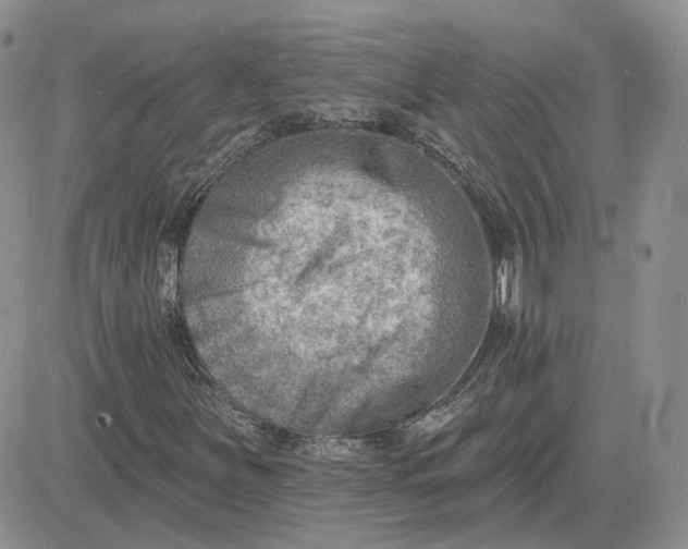 X0000081481251200701262019