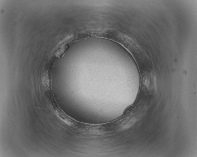 X0000081481252200701262019