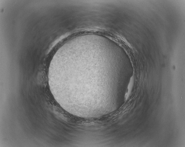 X0000081481256200701262019