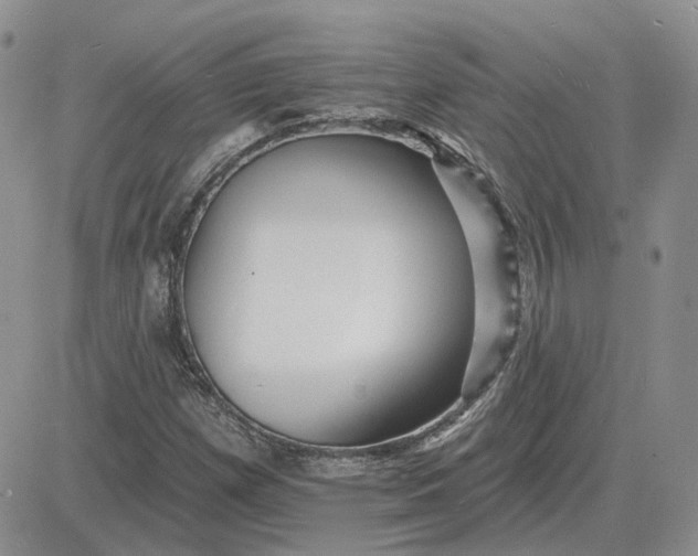 X0000081481257200701262019