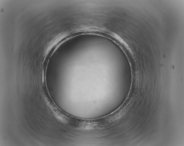 X0000081481269200701262019