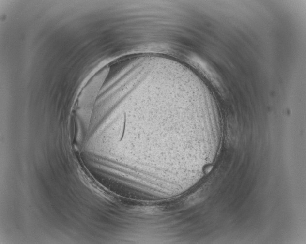 X0000081481276200701262019