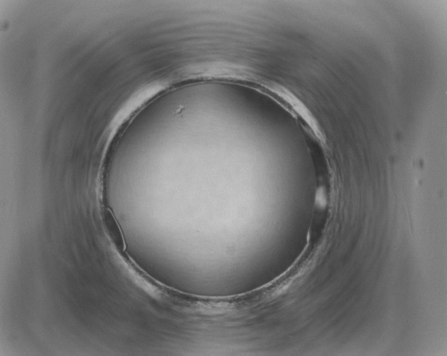X0000081481285200701262019