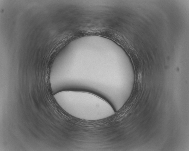 X0000081481300200701262018
