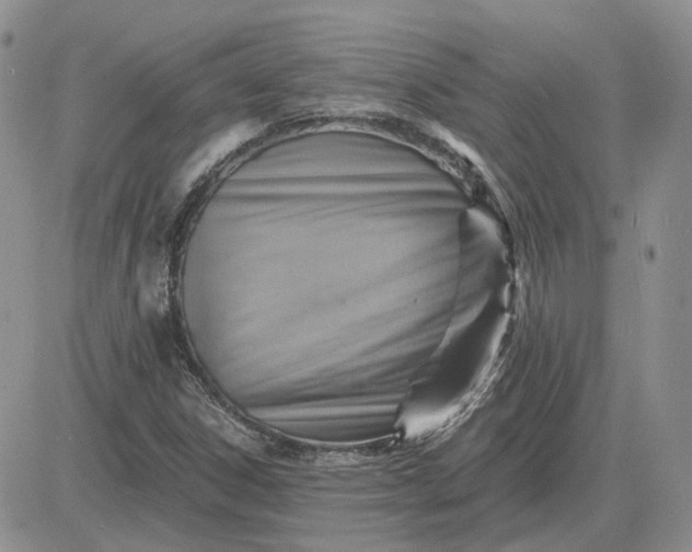 X0000081481306200701262018