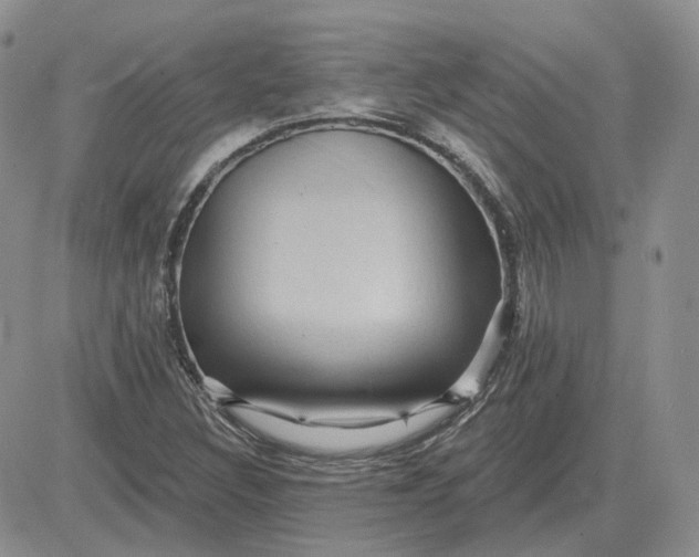 X0000081481308200701262018