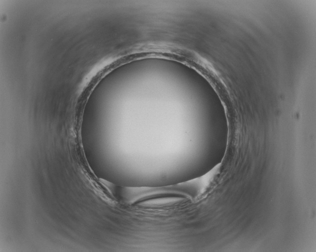 X0000081481312200701262018