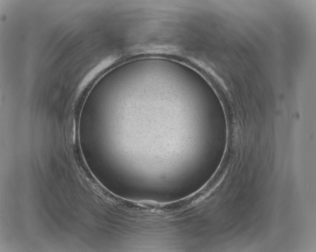 X0000081481317200701262018